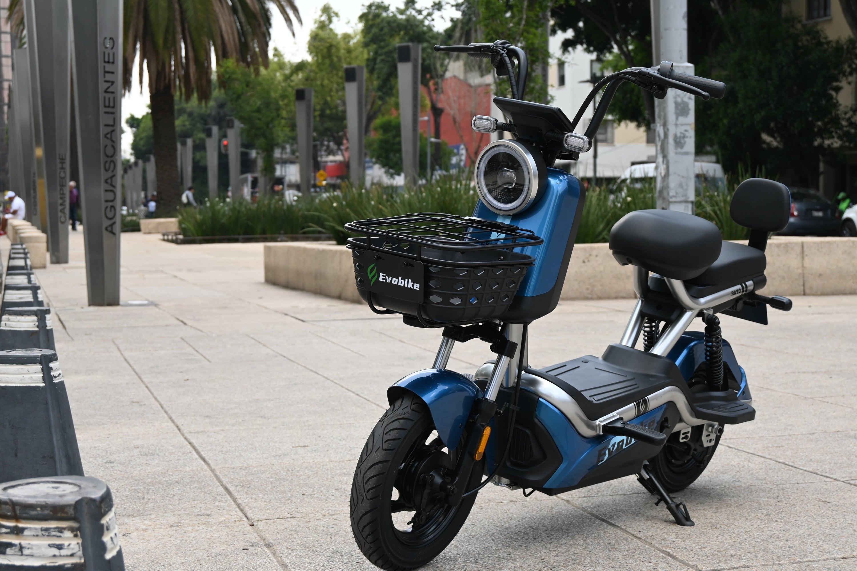 Bicicleta Eléctrica Rayo